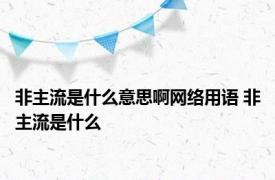 非主流是什么意思啊网络用语 非主流是什么