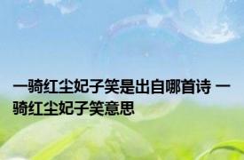 一骑红尘妃子笑是出自哪首诗 一骑红尘妃子笑意思