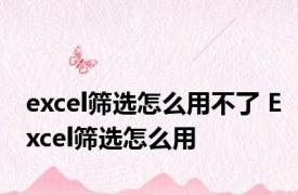 excel筛选怎么用不了 Excel筛选怎么用