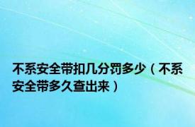 不系安全带扣几分罚多少（不系安全带多久查出来）
