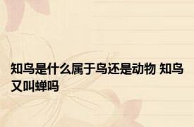 知鸟是什么属于鸟还是动物 知鸟又叫蝉吗