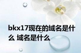 bkx17现在的域名是什么 域名是什么