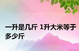 一升是几斤 1升大米等于多少斤