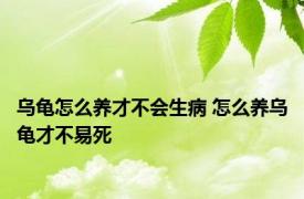 乌龟怎么养才不会生病 怎么养乌龟才不易死