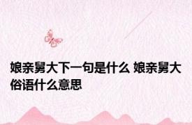 娘亲舅大下一句是什么 娘亲舅大俗语什么意思