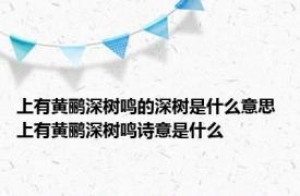上有黄鹂深树鸣的深树是什么意思 上有黄鹂深树鸣诗意是什么