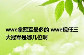 wwe拿冠军最多的 wwe现任三大冠军是哪几位啊