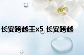 长安跨越王x5 长安跨越 