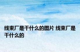 线束厂是干什么的图片 线束厂是干什么的