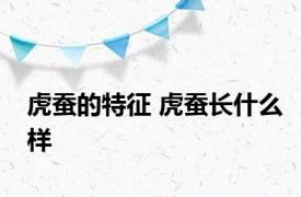 虎蚕的特征 虎蚕长什么样