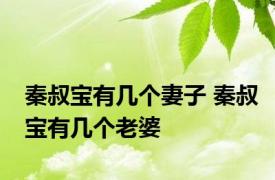 秦叔宝有几个妻子 秦叔宝有几个老婆