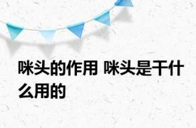 咪头的作用 咪头是干什么用的