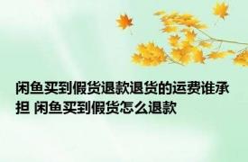 闲鱼买到假货退款退货的运费谁承担 闲鱼买到假货怎么退款