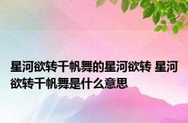 星河欲转千帆舞的星河欲转 星河欲转千帆舞是什么意思
