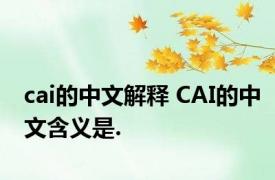cai的中文解释 CAI的中文含义是.