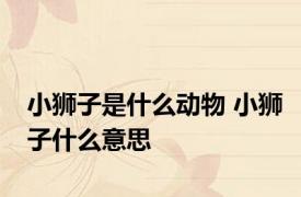 小狮子是什么动物 小狮子什么意思
