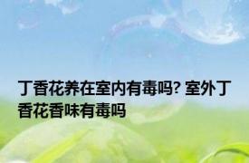 丁香花养在室内有毒吗? 室外丁香花香味有毒吗