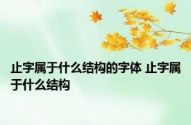 止字属于什么结构的字体 止字属于什么结构