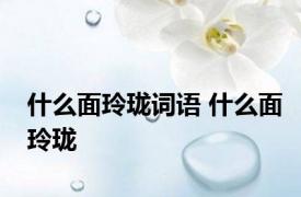 什么面玲珑词语 什么面玲珑