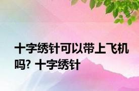 十字绣针可以带上飞机吗? 十字绣针 