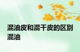 混油皮和混干皮的区别 混油 
