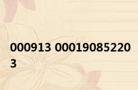 000913 000190852203 