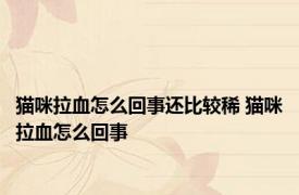 猫咪拉血怎么回事还比较稀 猫咪拉血怎么回事
