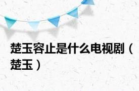 楚玉容止是什么电视剧（楚玉）