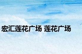 宏汇莲花广场 莲花广场 