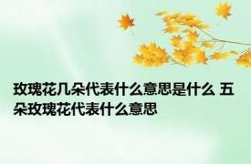 玫瑰花几朵代表什么意思是什么 五朵玫瑰花代表什么意思