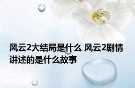 风云2大结局是什么 风云2剧情 讲述的是什么故事