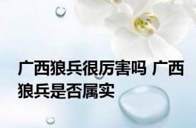 广西狼兵很厉害吗 广西狼兵是否属实