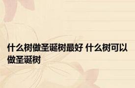 什么树做圣诞树最好 什么树可以做圣诞树