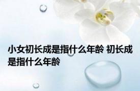 小女初长成是指什么年龄 初长成是指什么年龄