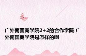 广外南国商学院2+2的合作学院 广外南国商学院是怎样的啊