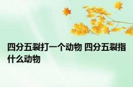 四分五裂打一个动物 四分五裂指什么动物