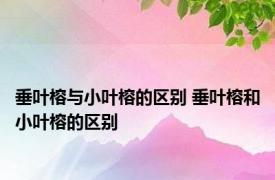 垂叶榕与小叶榕的区别 垂叶榕和小叶榕的区别