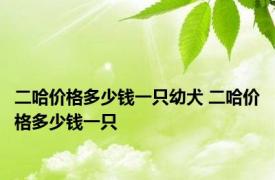 二哈价格多少钱一只幼犬 二哈价格多少钱一只 