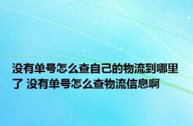 没有单号怎么查自己的物流到哪里了 没有单号怎么查物流信息啊