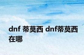 dnf 蒂莫西 dnf蒂莫西在哪