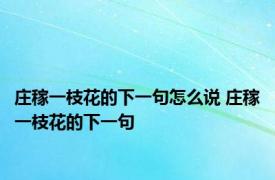 庄稼一枝花的下一句怎么说 庄稼一枝花的下一句