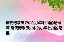 唐代诗歌历史中的小李杜指的是谁啊 唐代诗歌历史中的小李杜指的是谁