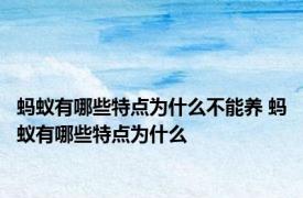蚂蚁有哪些特点为什么不能养 蚂蚁有哪些特点为什么
