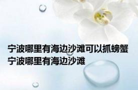 宁波哪里有海边沙滩可以抓螃蟹 宁波哪里有海边沙滩