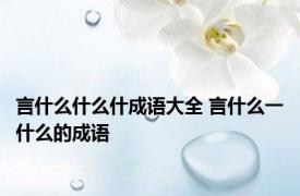 言什么什么什成语大全 言什么一什么的成语