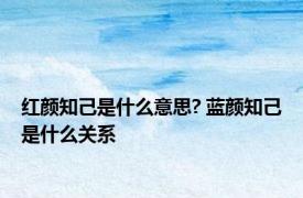红颜知己是什么意思? 蓝颜知己是什么关系