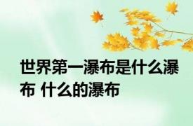 世界第一瀑布是什么瀑布 什么的瀑布