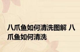 八爪鱼如何清洗图解 八爪鱼如何清洗