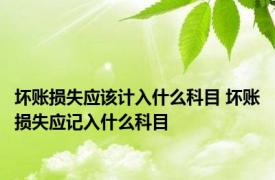 坏账损失应该计入什么科目 坏账损失应记入什么科目