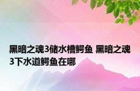 黑暗之魂3储水槽鳄鱼 黑暗之魂3下水道鳄鱼在哪